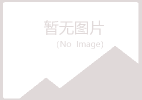 大新县笔调能源有限公司